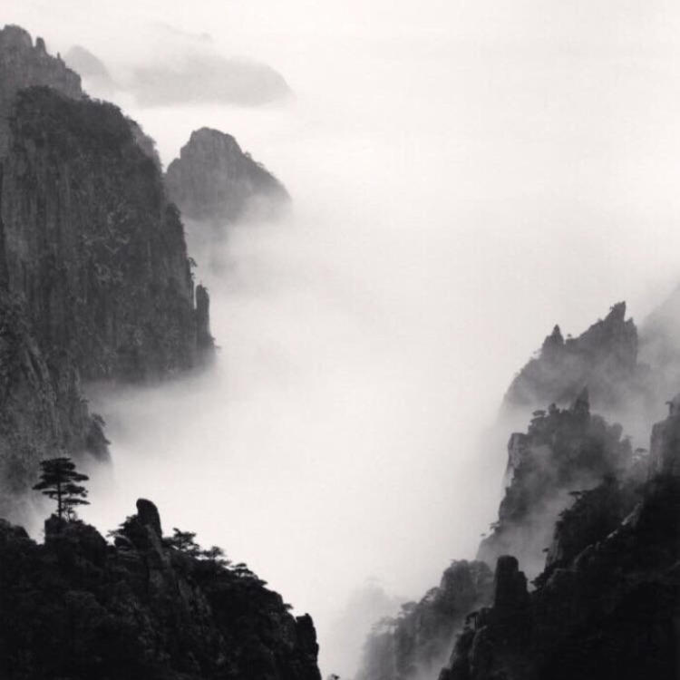 雪代缘（身份：雪代巴弟弟、上海黑帮老大、虎伏绝刀式使用者） - 日剧双语字幕在线观看 - 在线直播